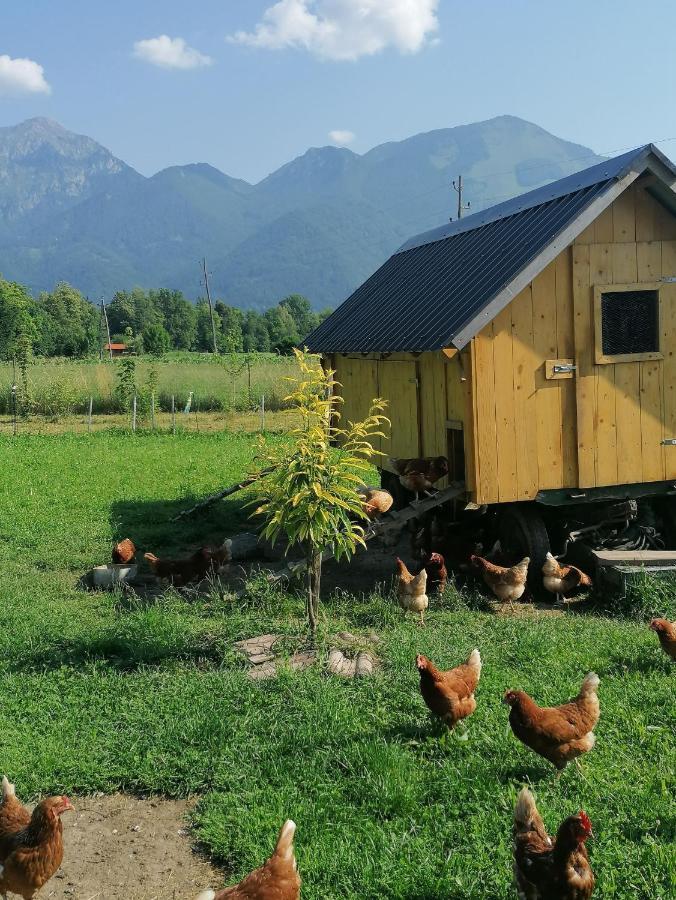 Hotel Glamping Mohorjev Grunt Preddvor Exteriér fotografie